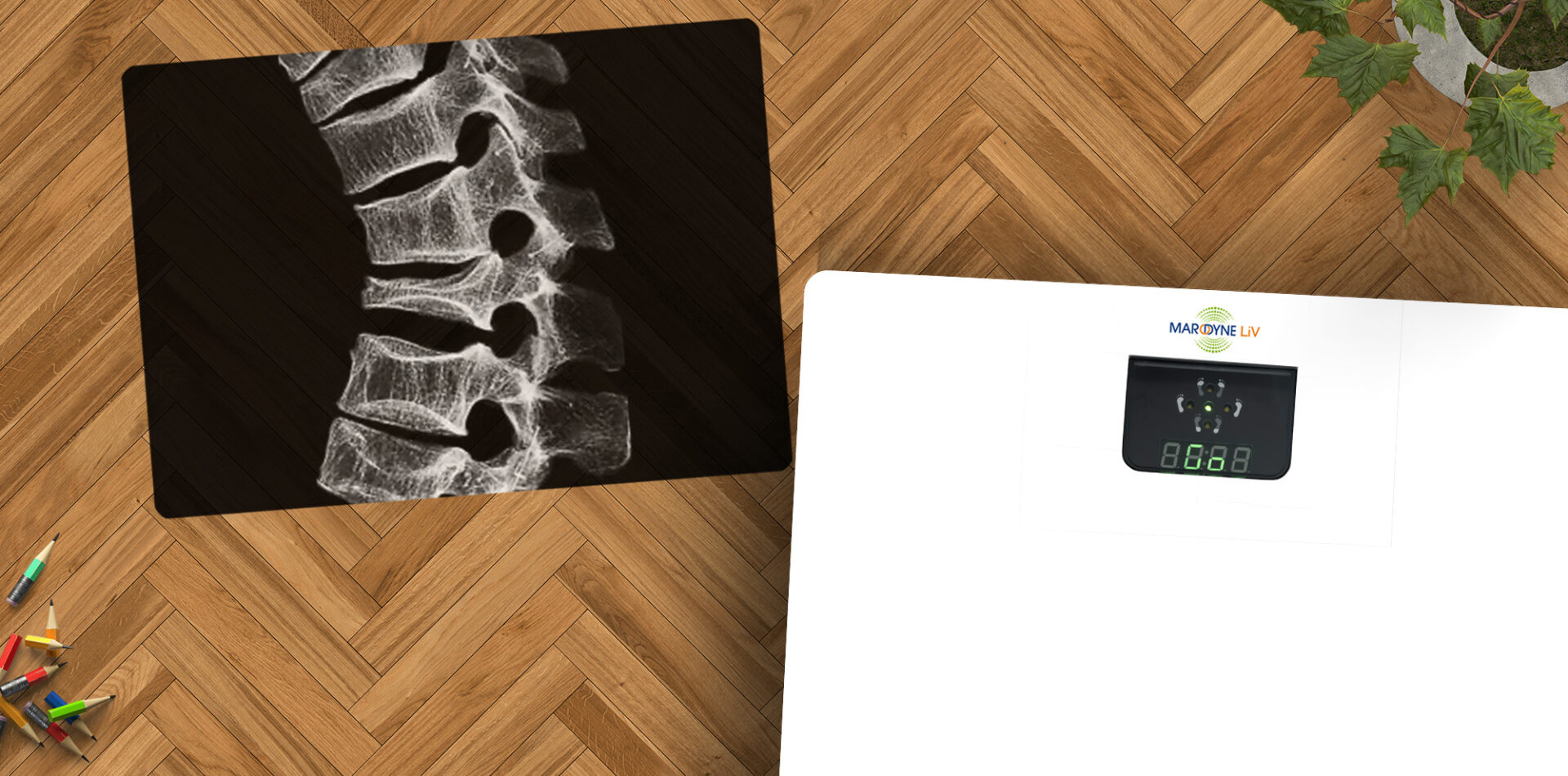 Dauerhafte Hilfe bei Osteoporose oder Osteopenie ohne bekannte Nebenwirkungen